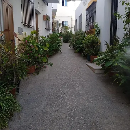 公寓 Abril Con Terraza