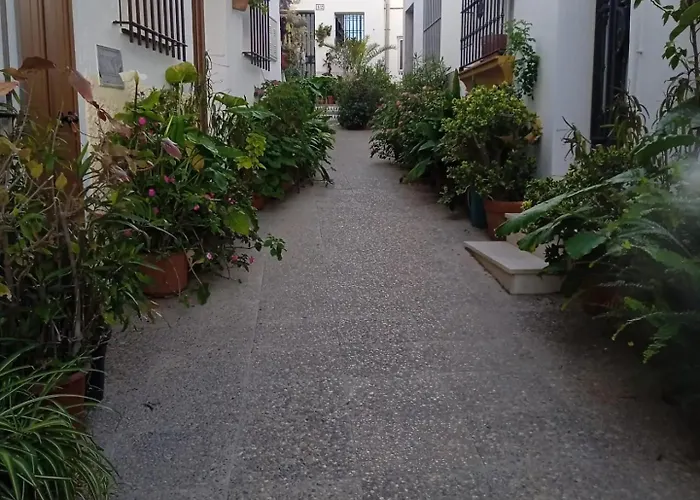 Appartement Abril Con Terraza